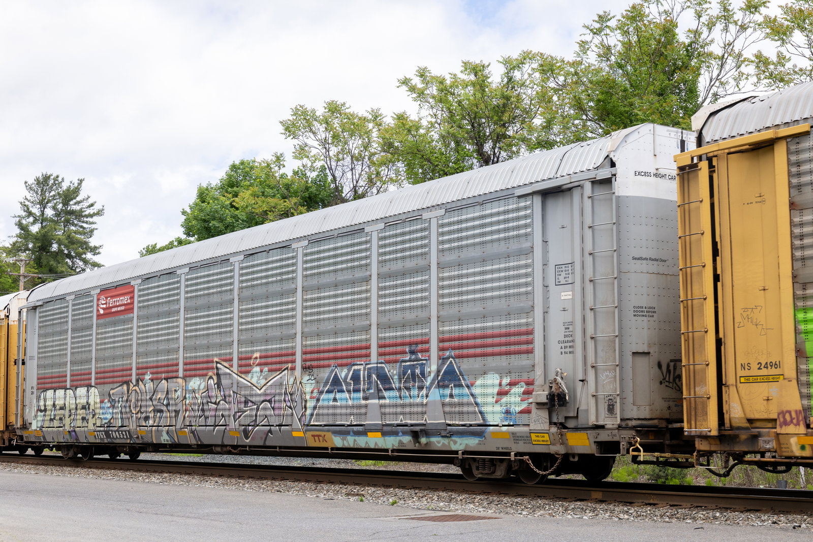 TTGX 706531