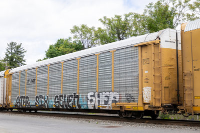 TTGX 985384