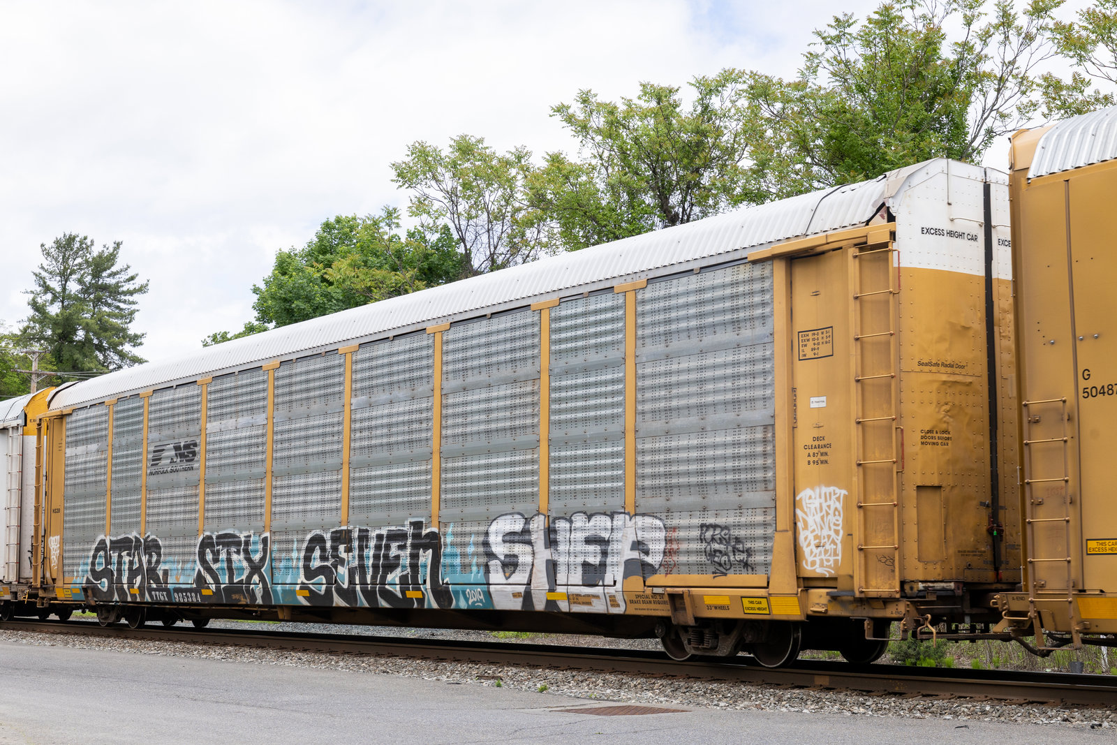 TTGX 985384
