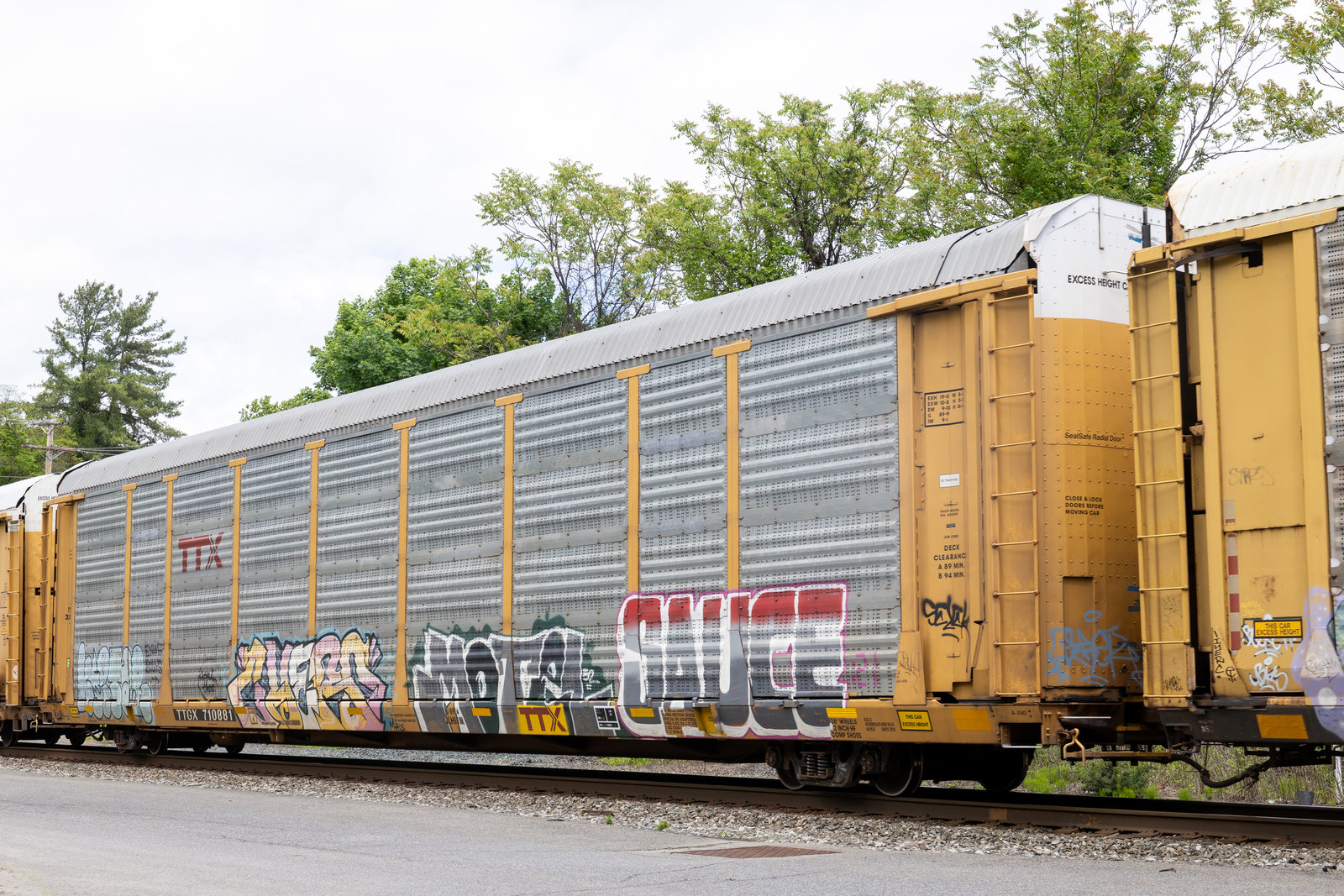 TTGX 710881