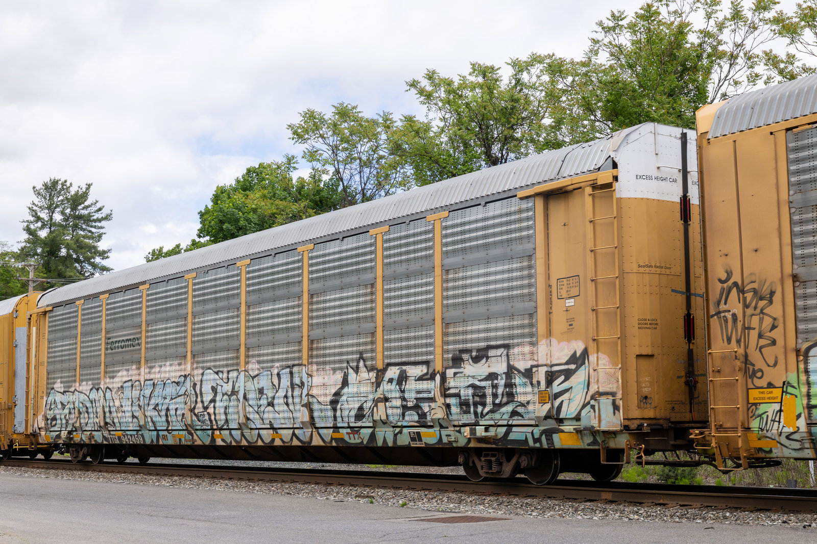 TTGX 942459