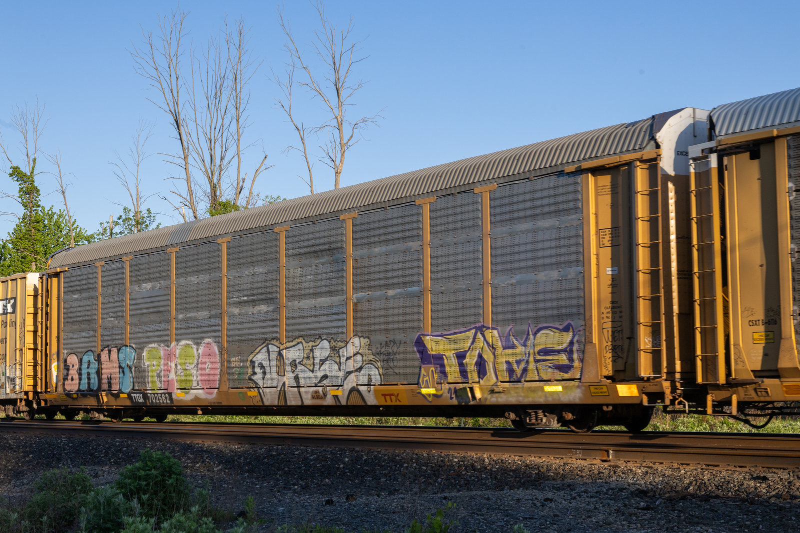 TTGX 702562