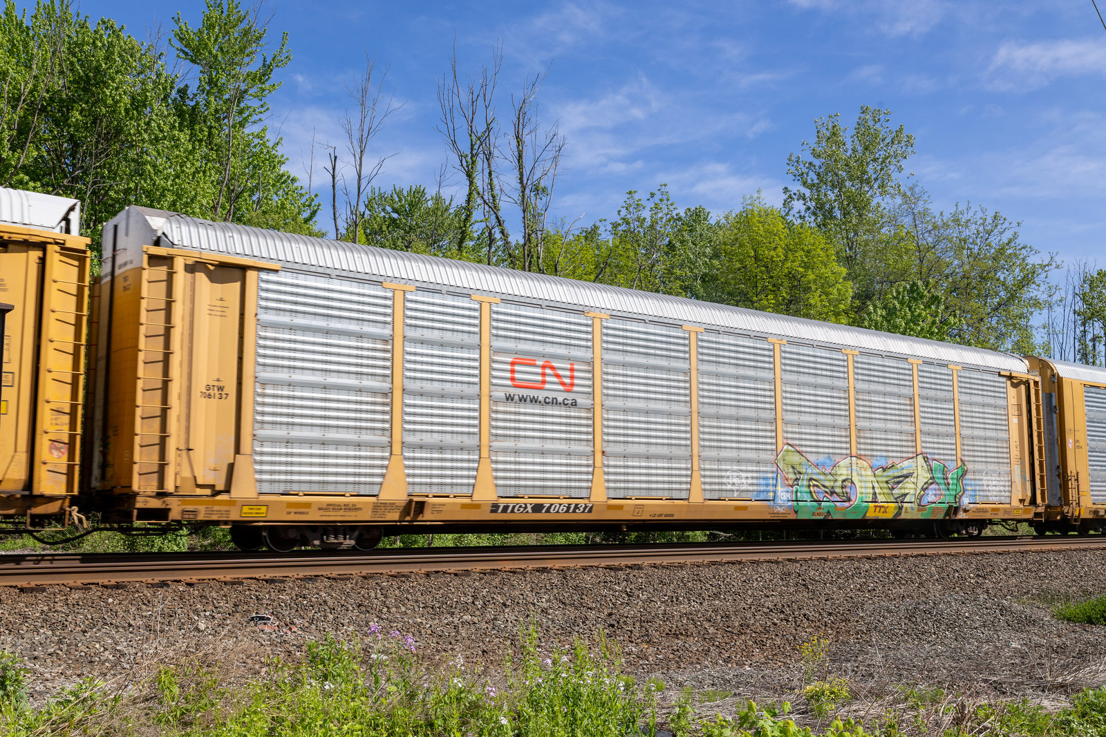 TTGX 706137
