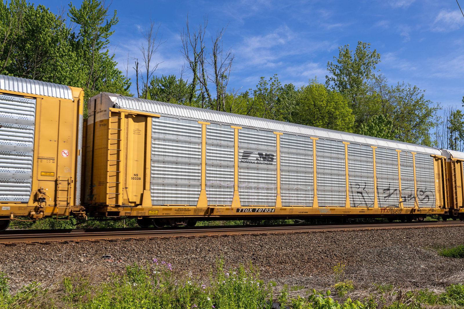 TTGX 707034