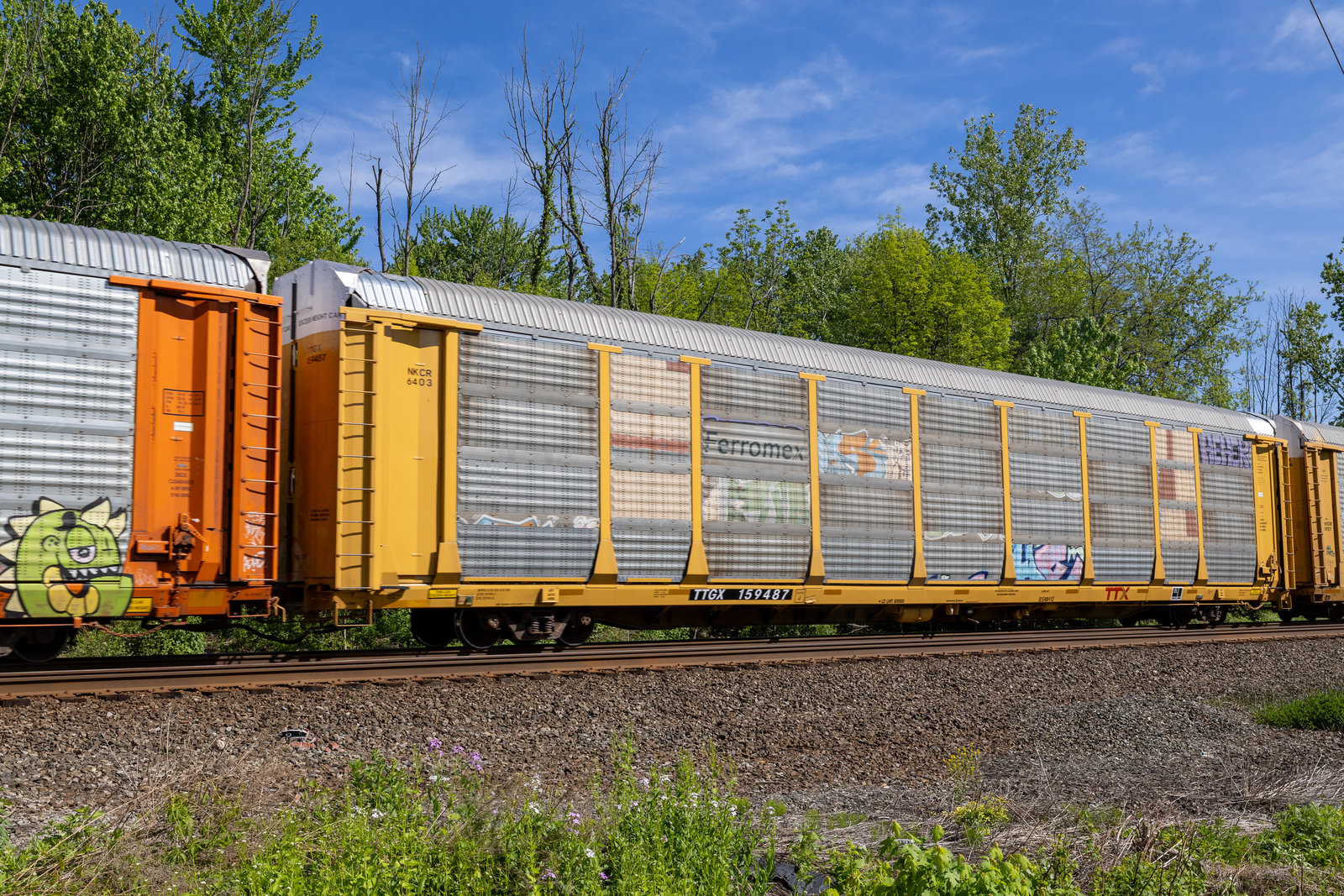 TTGX 159487