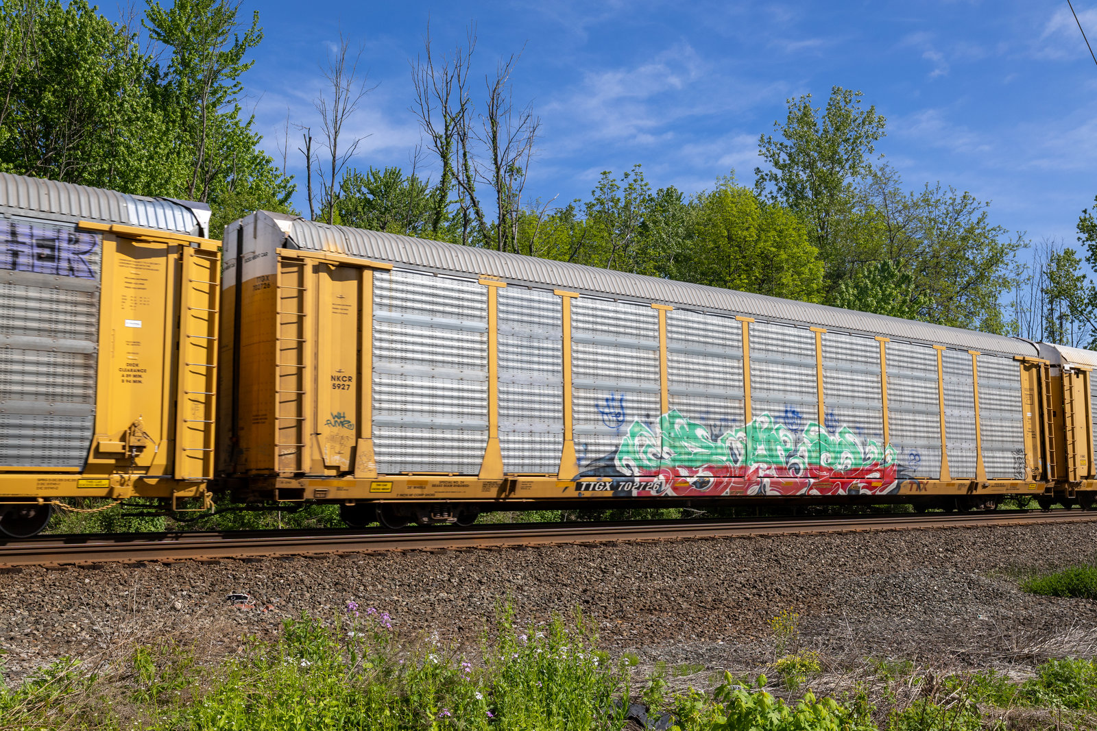 TTGX 702726