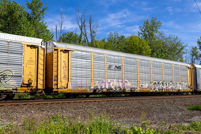 TTGX 704275