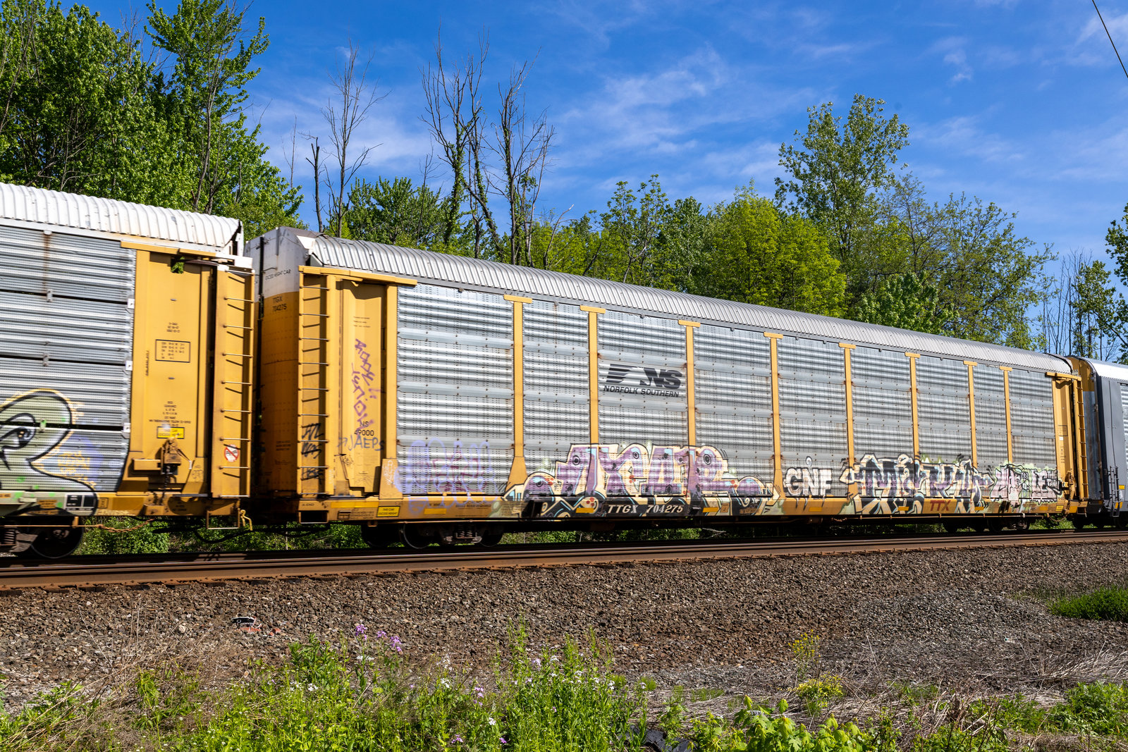 TTGX 704275