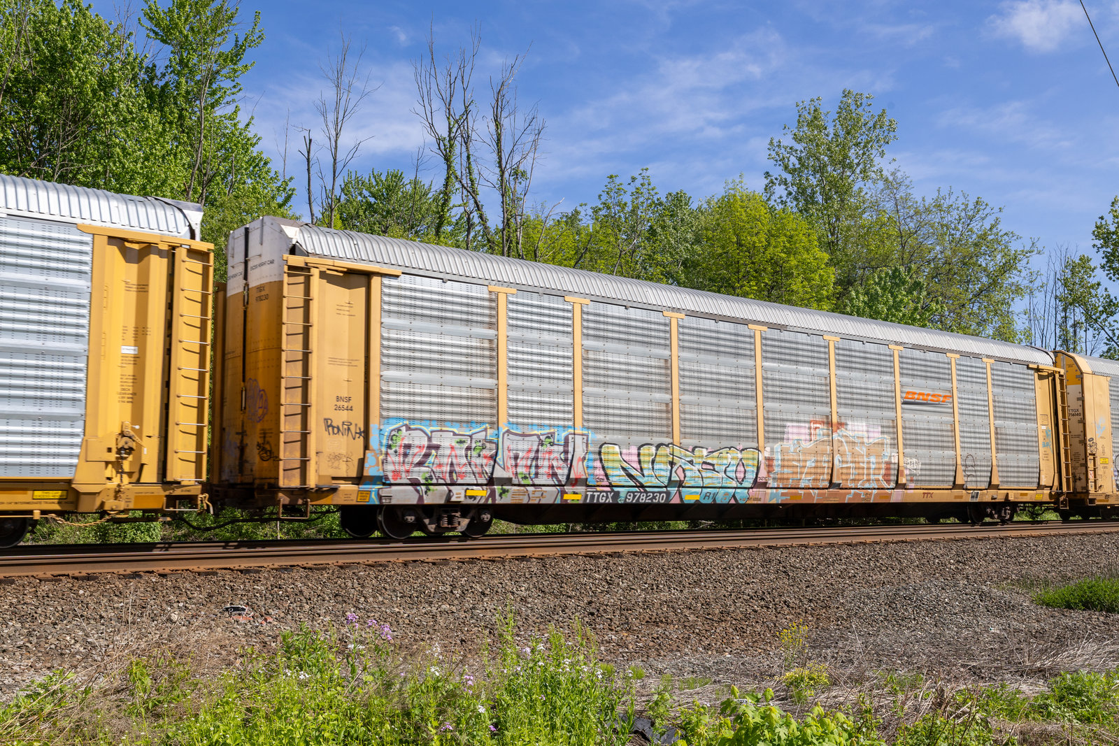 TTGX 978230