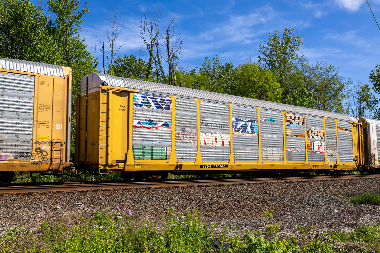 TTGX 712145