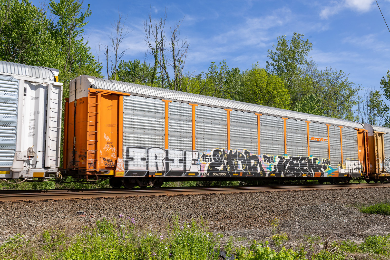 TTGX 952909