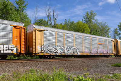 TTGX 965580