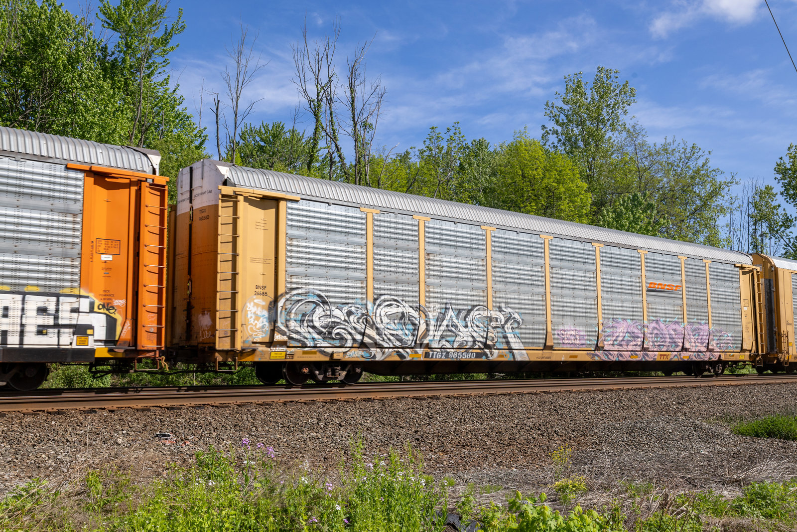 TTGX 965580