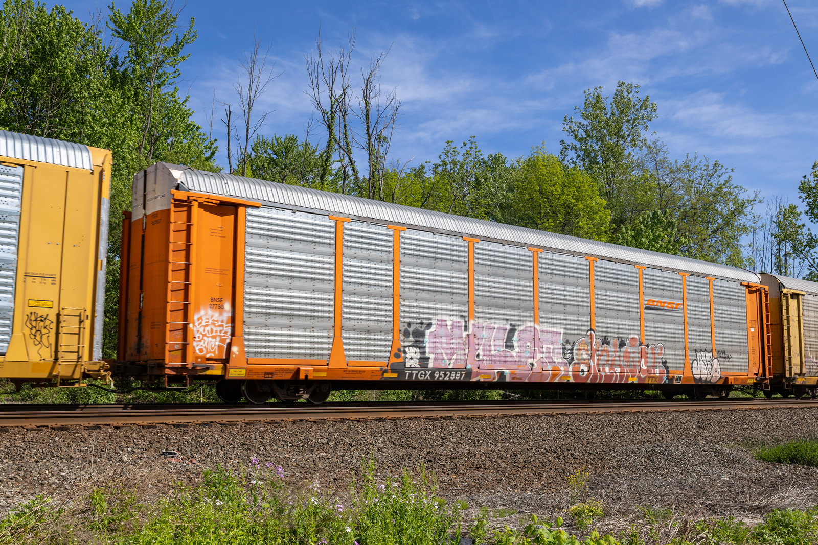 TTGX 952887