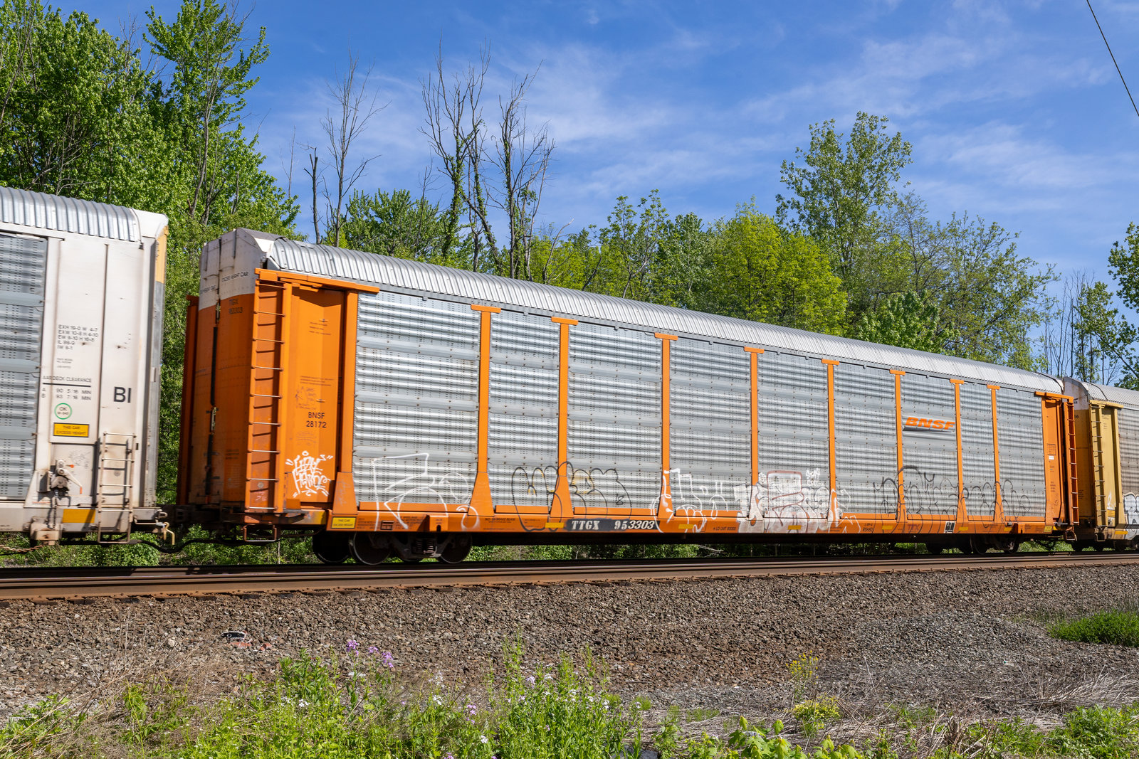 TTGX 953303