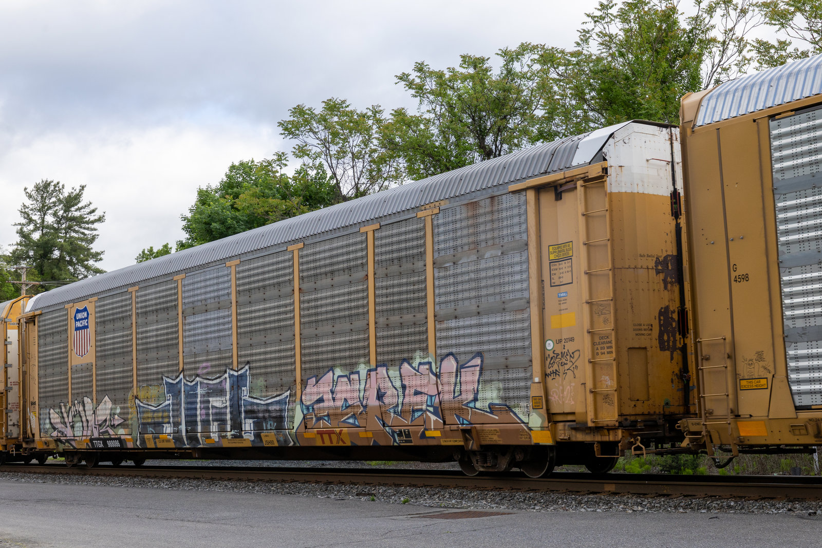 TTGX 988086
