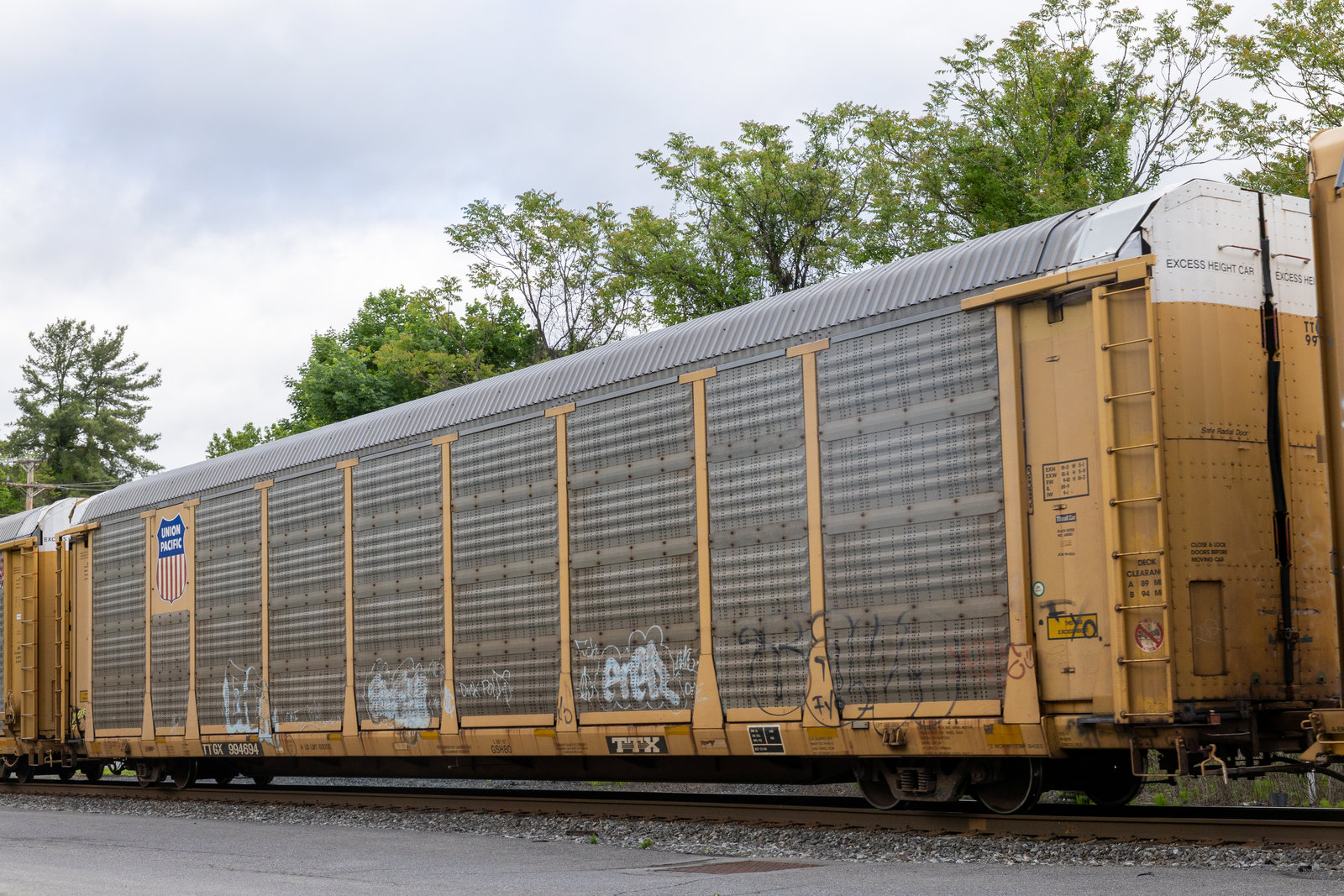 TTGX 994694