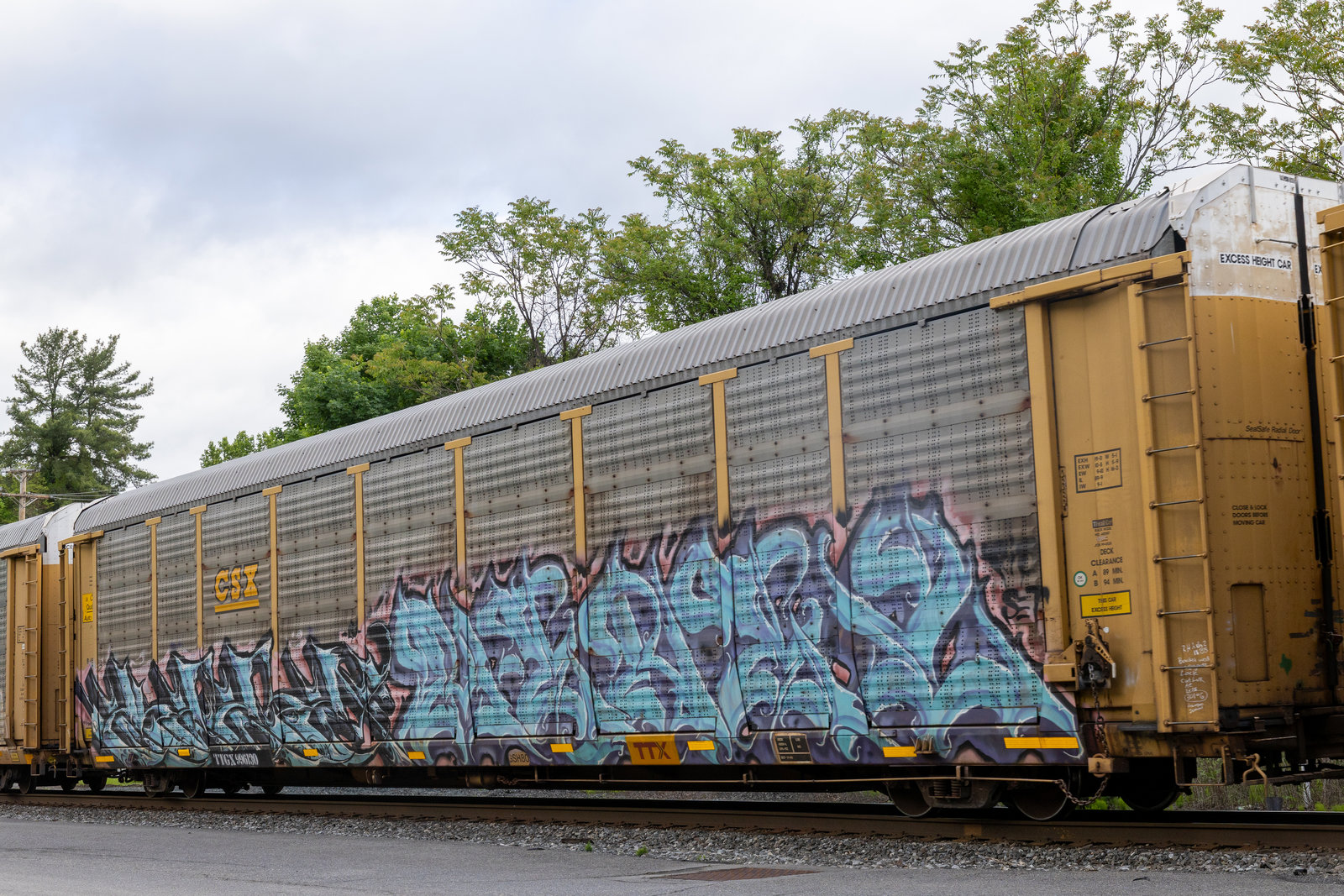 TTGX 996130