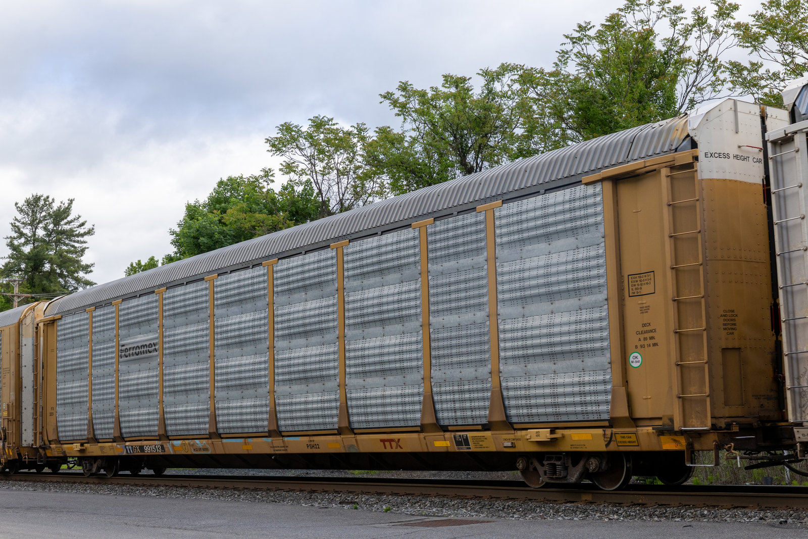 TTGX 991513