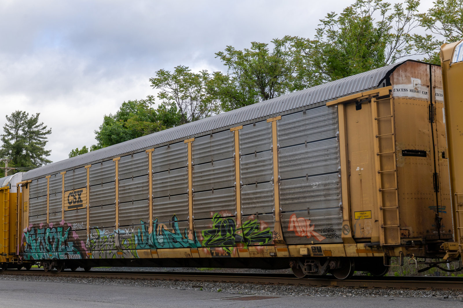 TTGX 983559