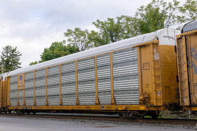 TTGX 981606