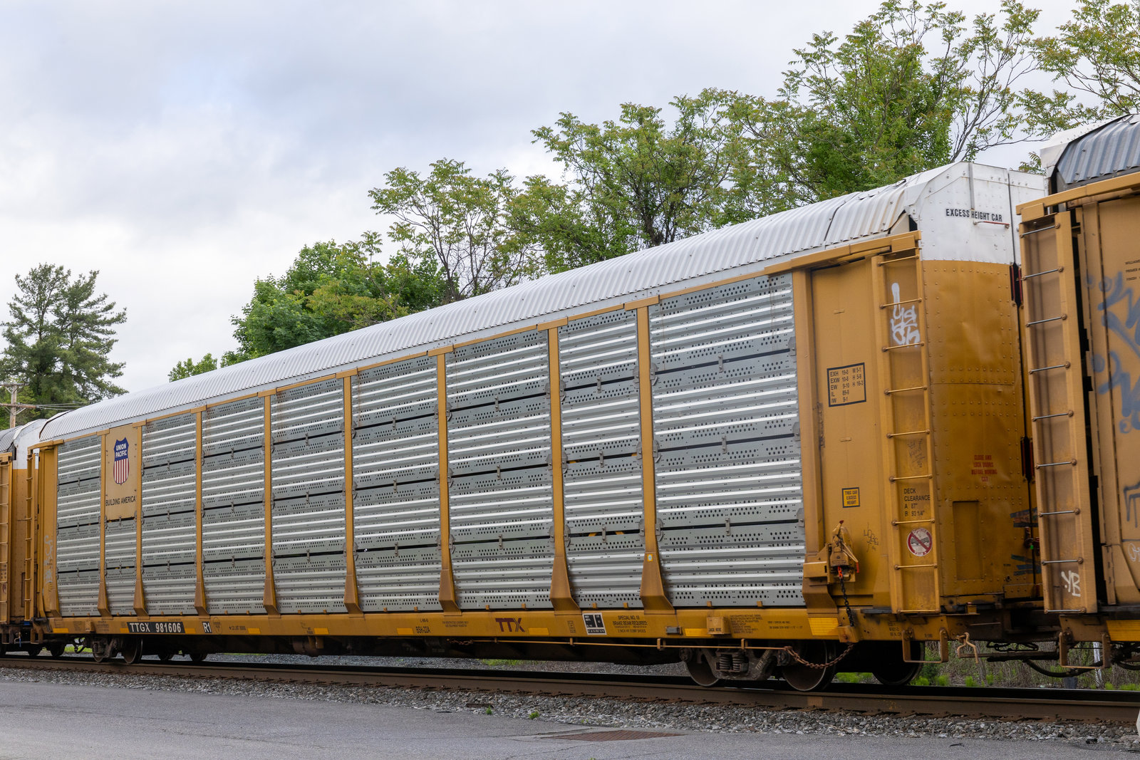 TTGX 981606