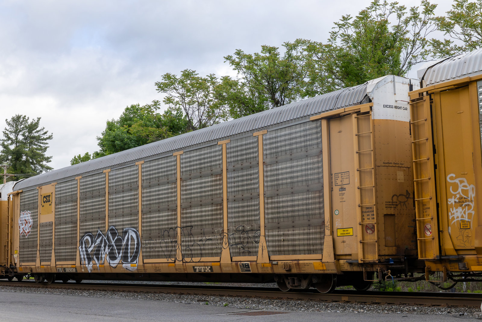 TTGX 995638