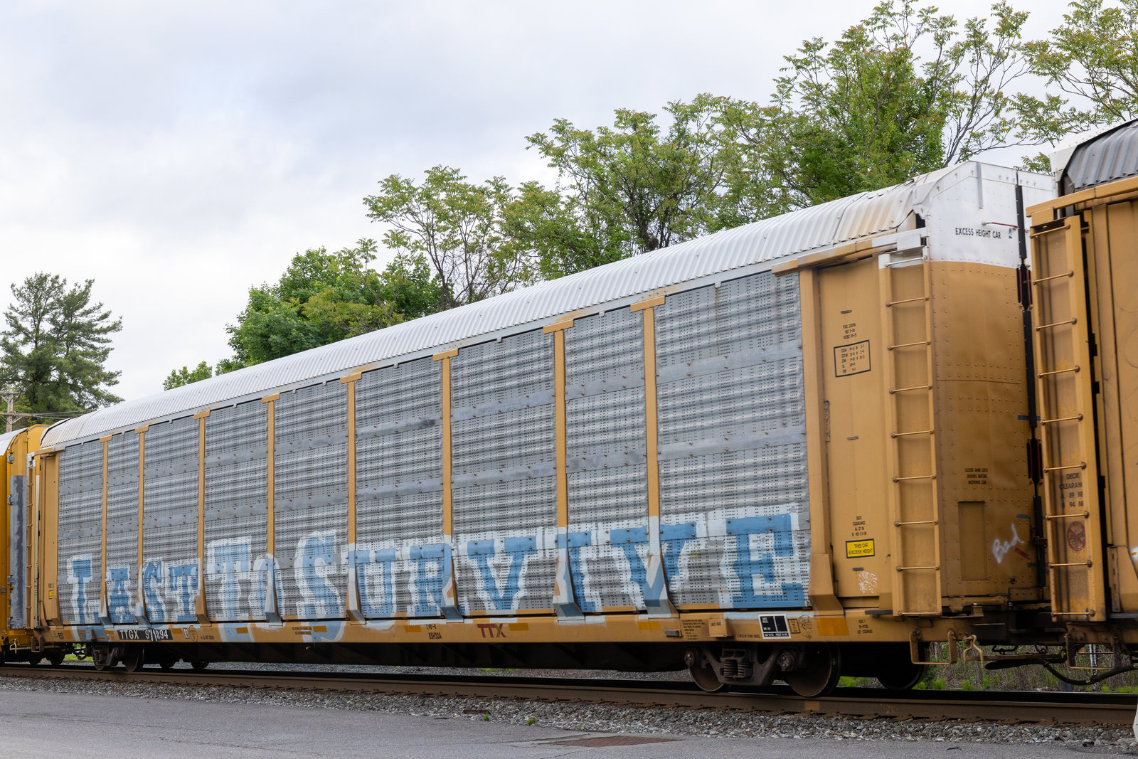 TTGX 971894