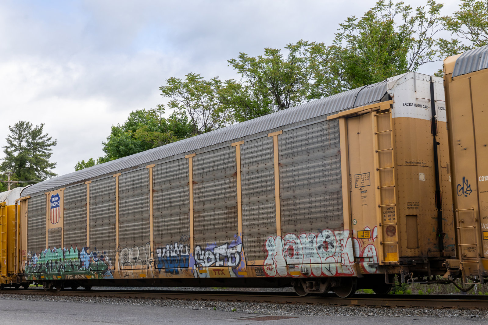 TTGX 995538