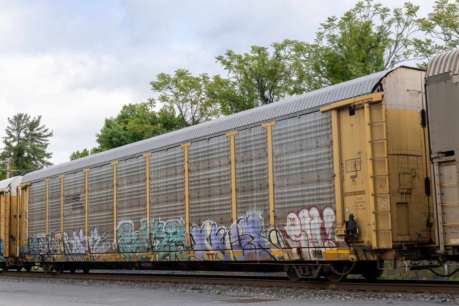 TTGX 993621