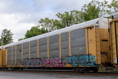 TTGX 974651
