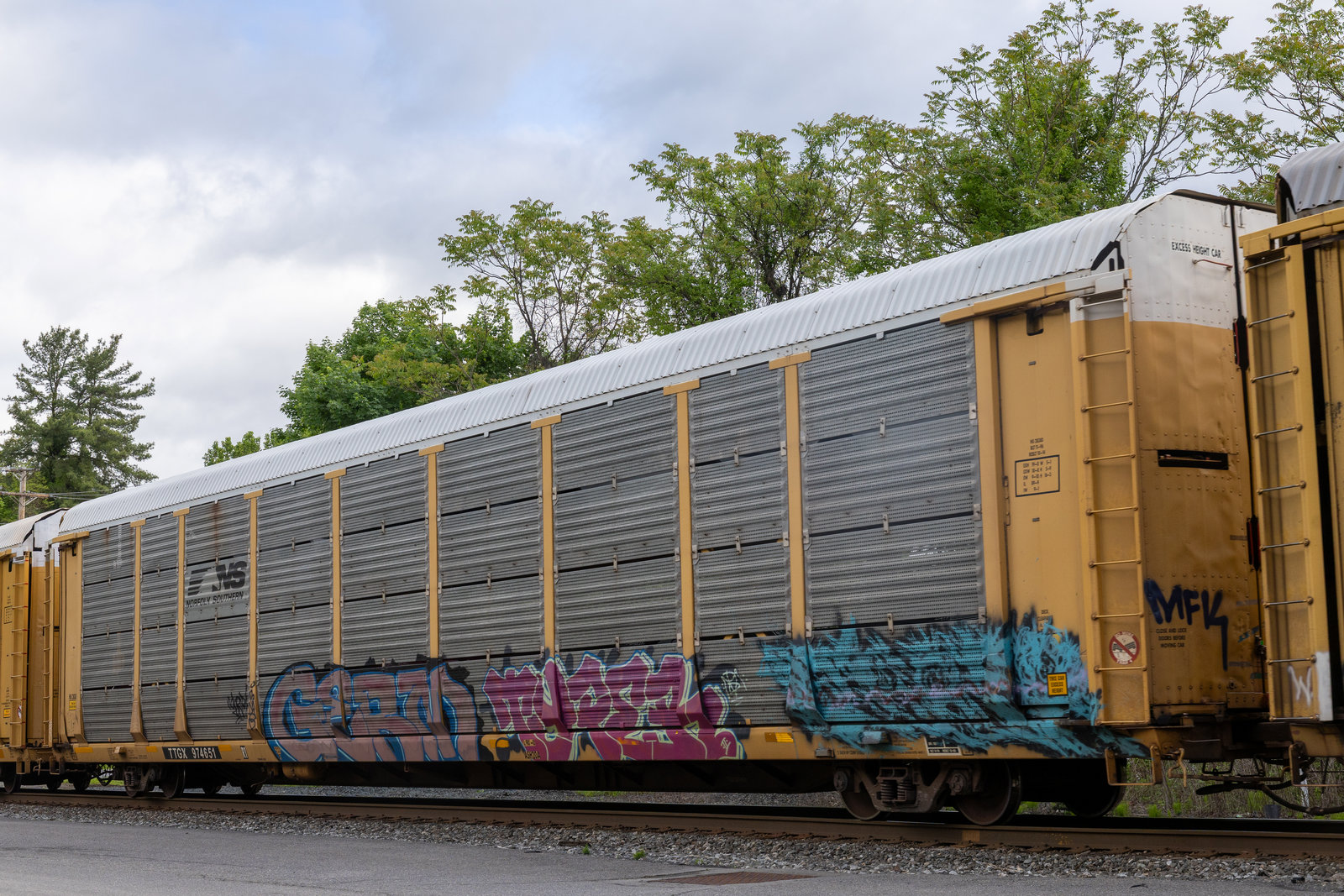TTGX 974651