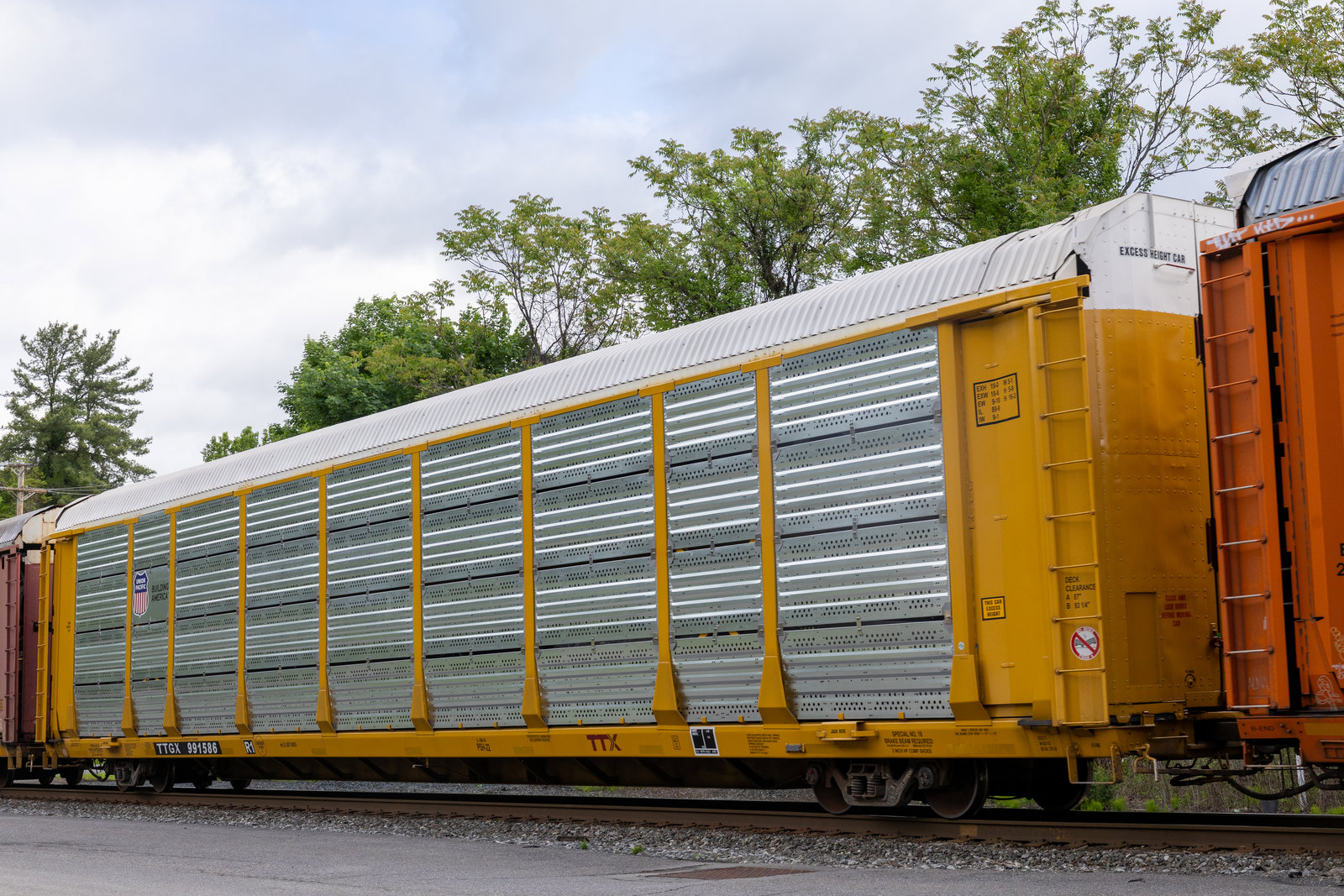 TTGX 991586