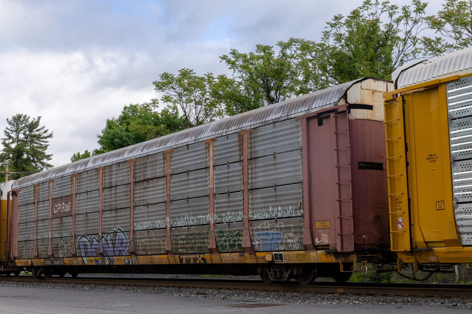 TTGX 160236