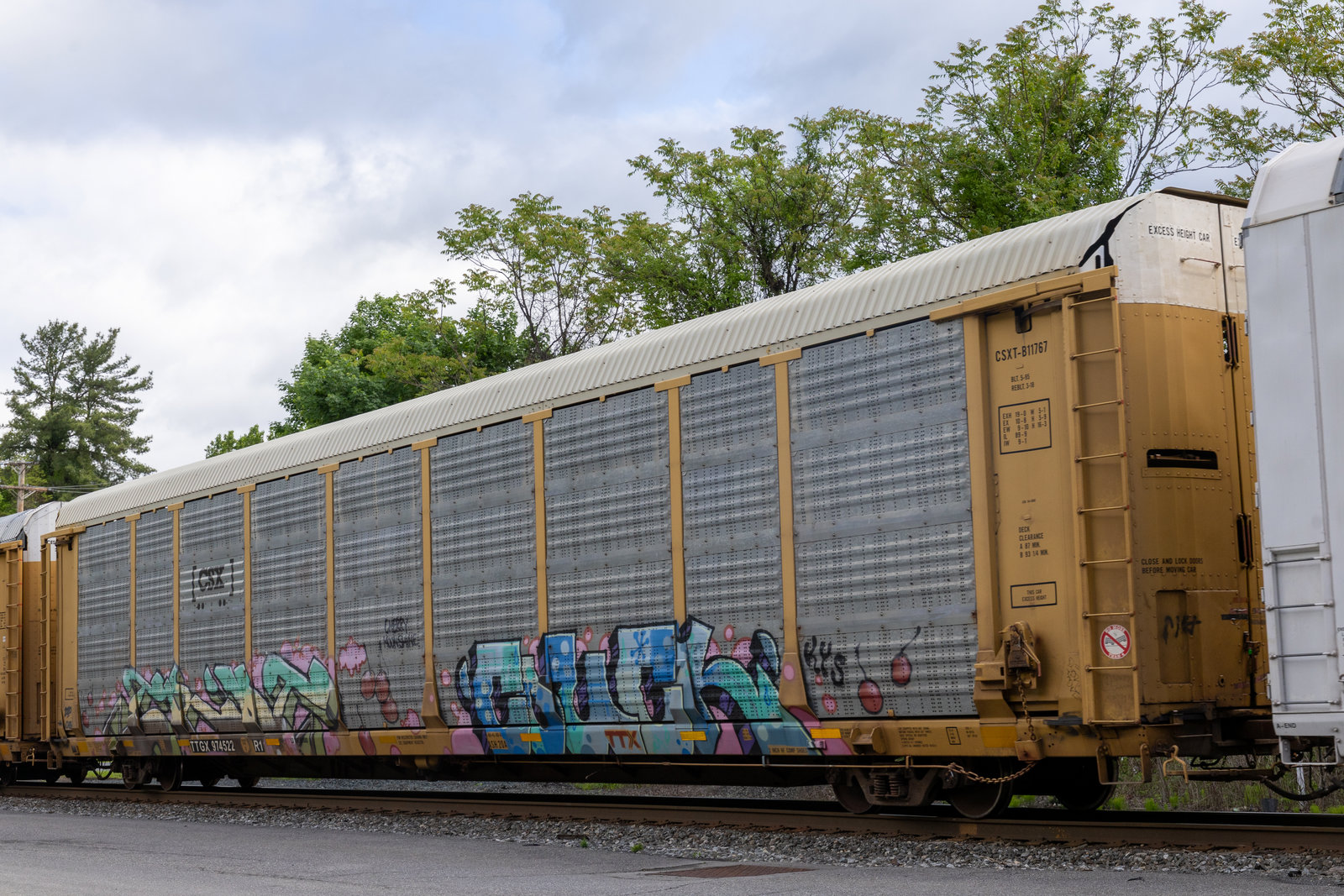 TTGX 974522