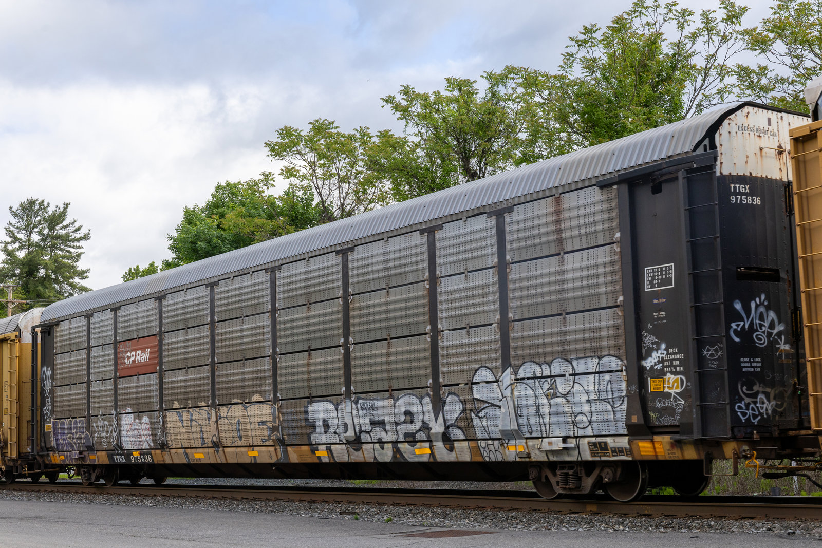TTGX 975836