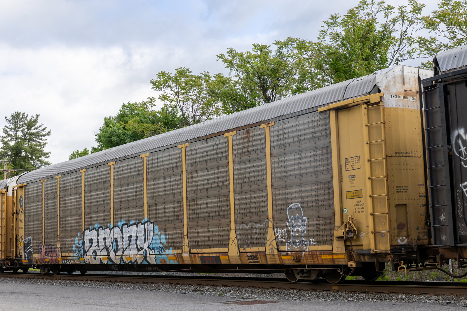 TTGX 994872