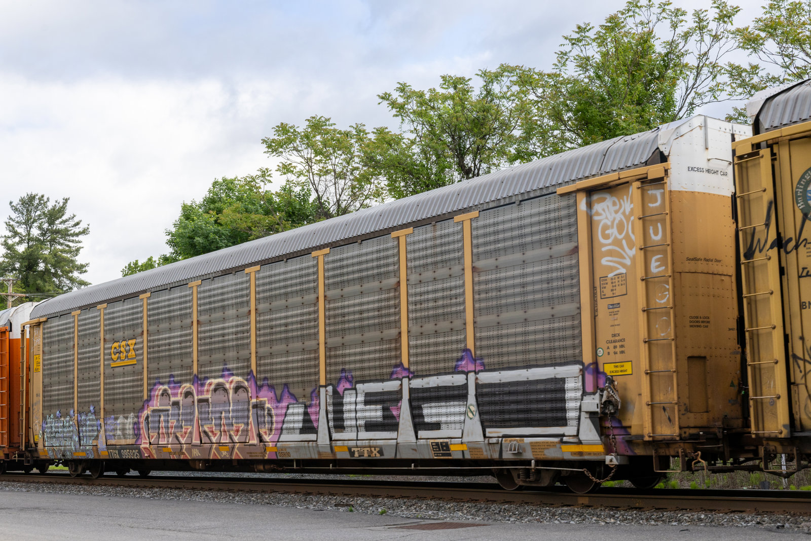 TTGX 995925