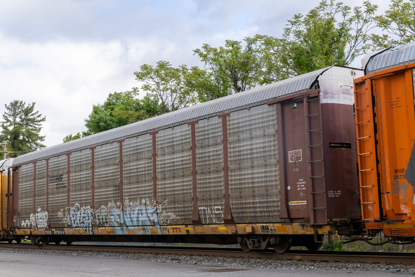TTGX 979584