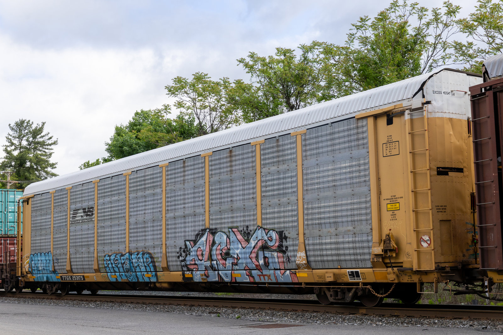 TTGX 253175