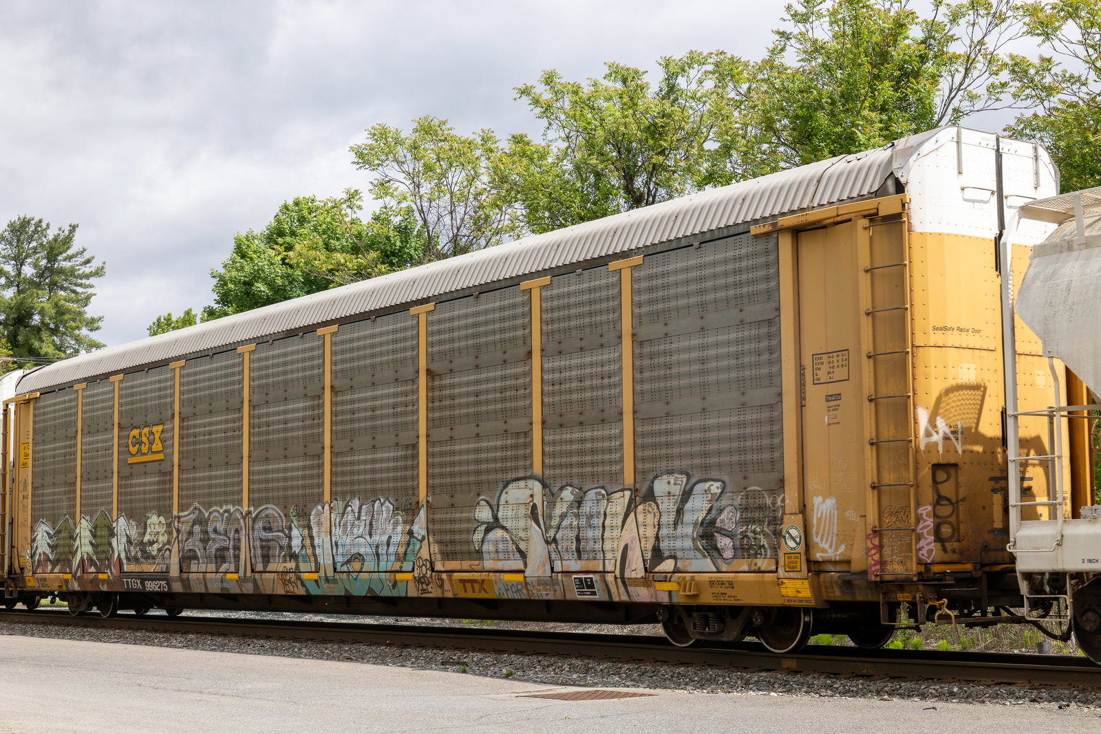 TTGX 996275