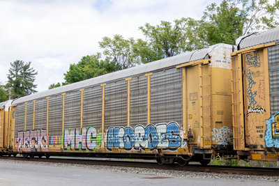 TTGX 987098
