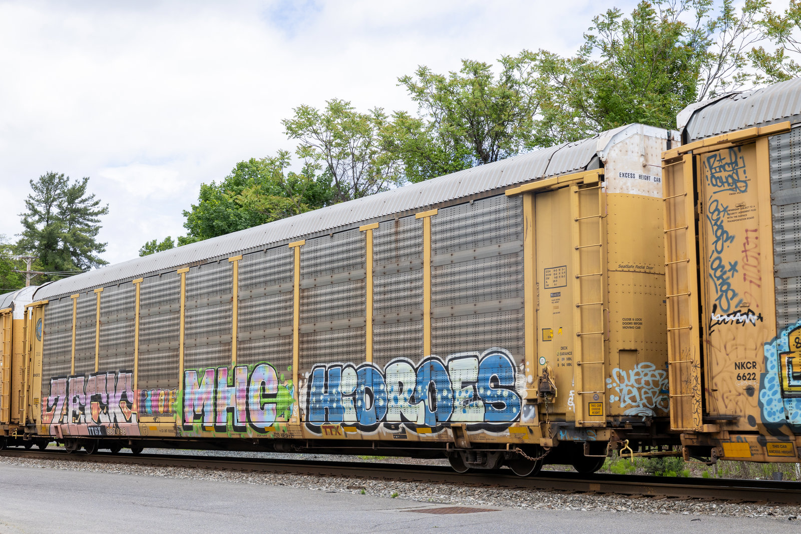 TTGX 987098