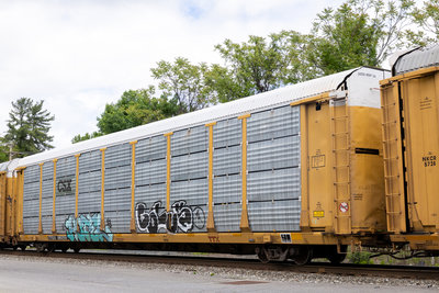 TTGX 981259