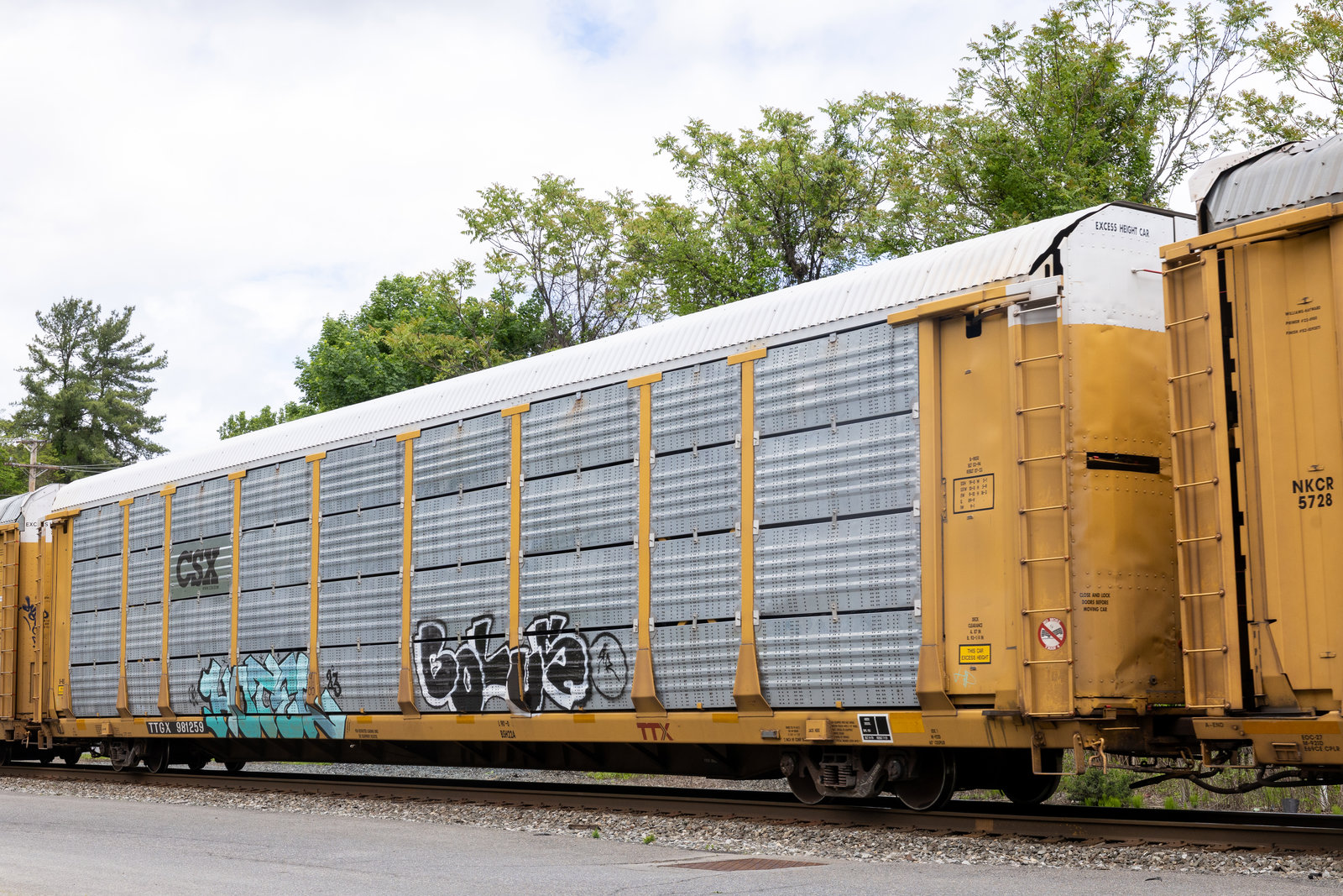 TTGX 981259