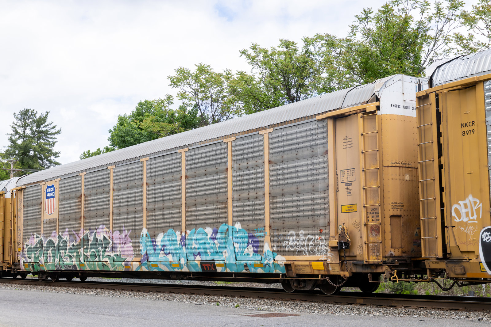 TTGX 986572