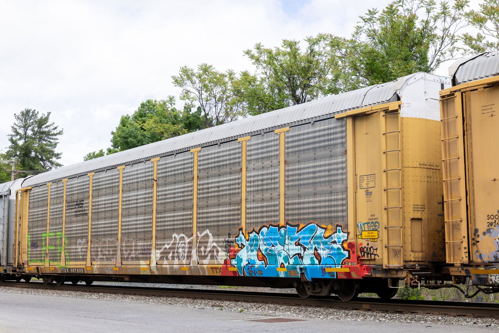TTGX 987605