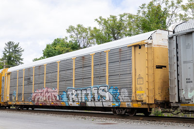 TTGX 962789