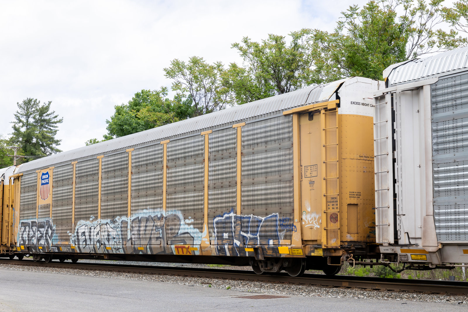 TTGX 988473