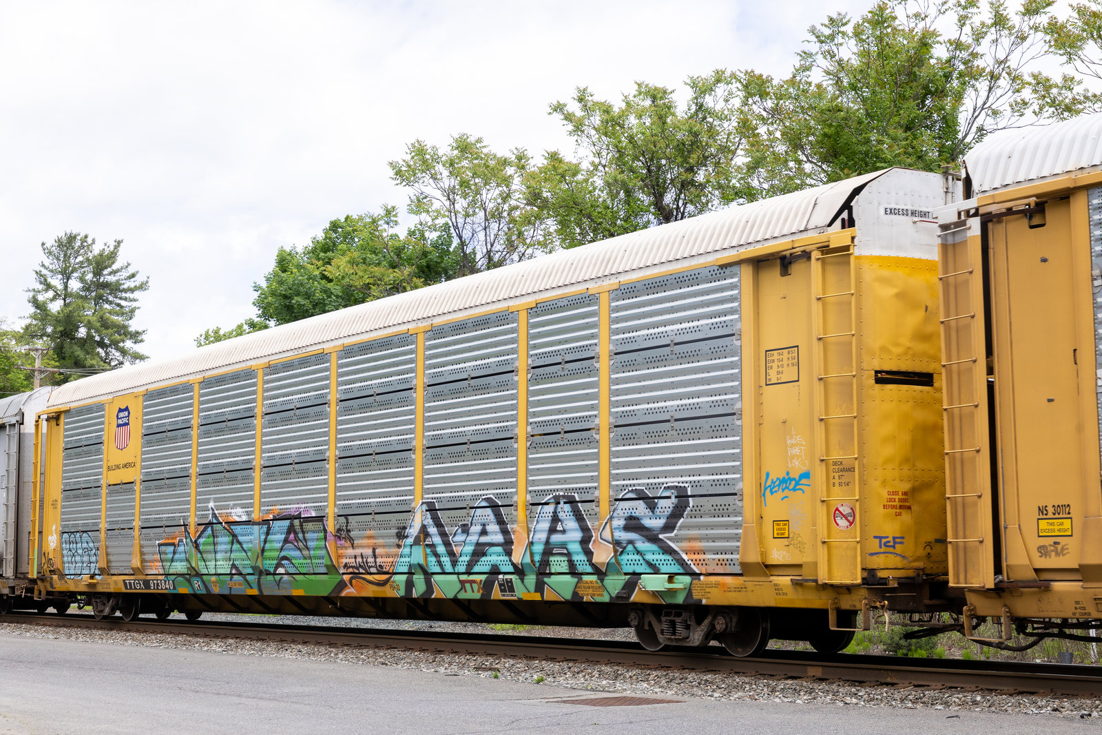 TTGX 973840